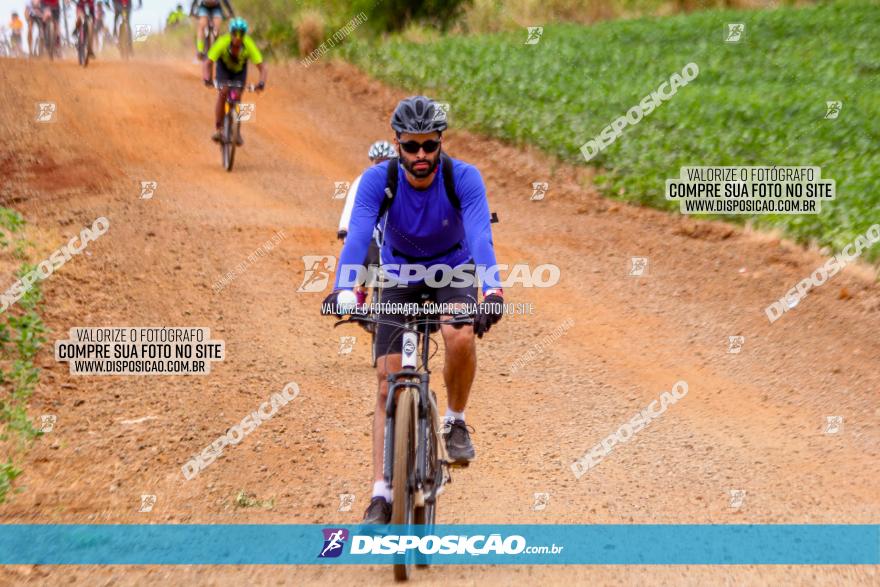 Circuito Jandaia 2021 - Edição Especial