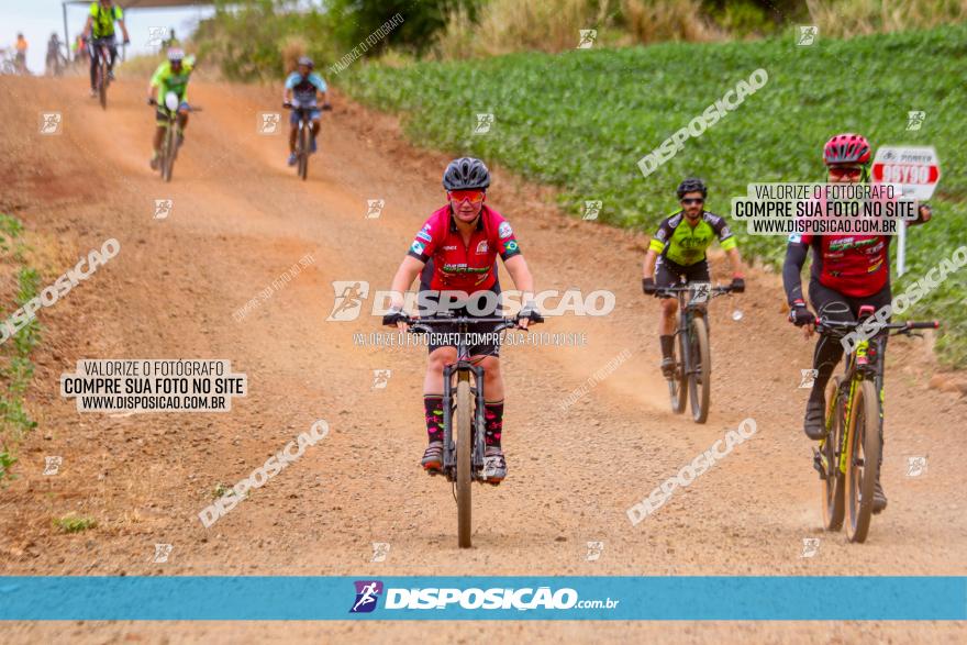 Circuito Jandaia 2021 - Edição Especial