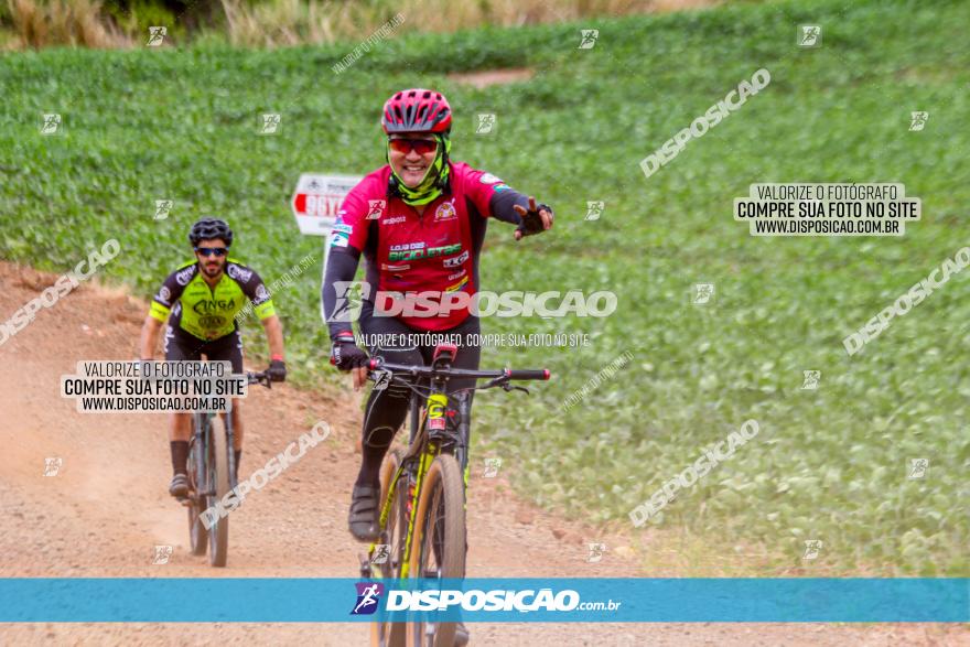 Circuito Jandaia 2021 - Edição Especial