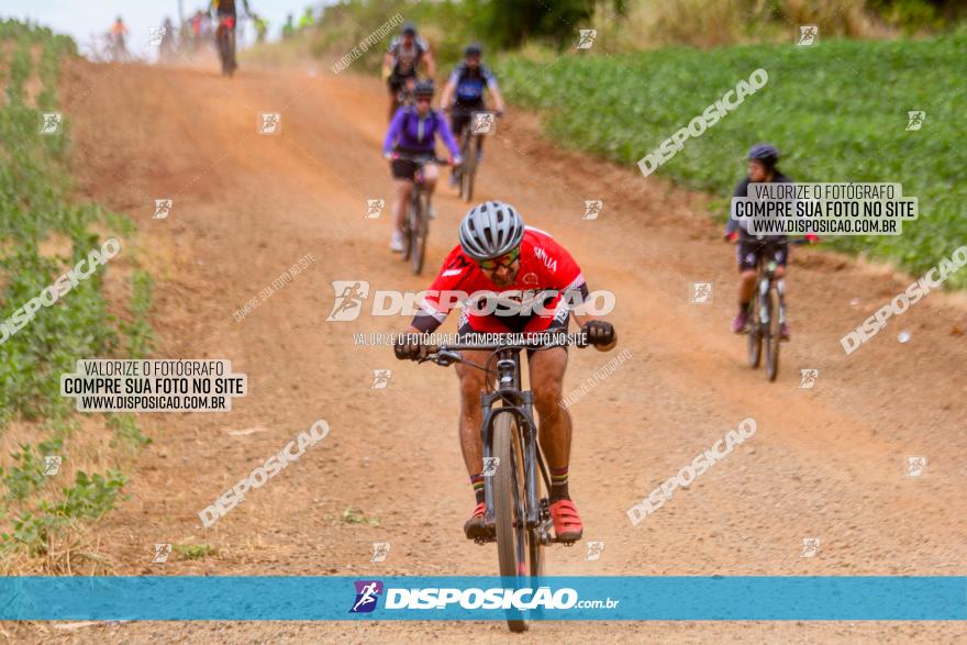 Circuito Jandaia 2021 - Edição Especial