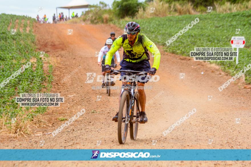 Circuito Jandaia 2021 - Edição Especial