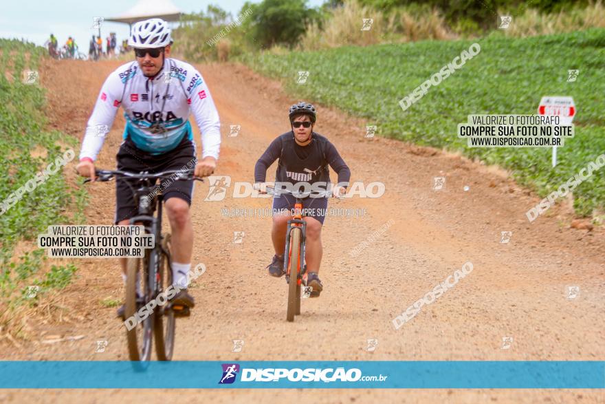 Circuito Jandaia 2021 - Edição Especial