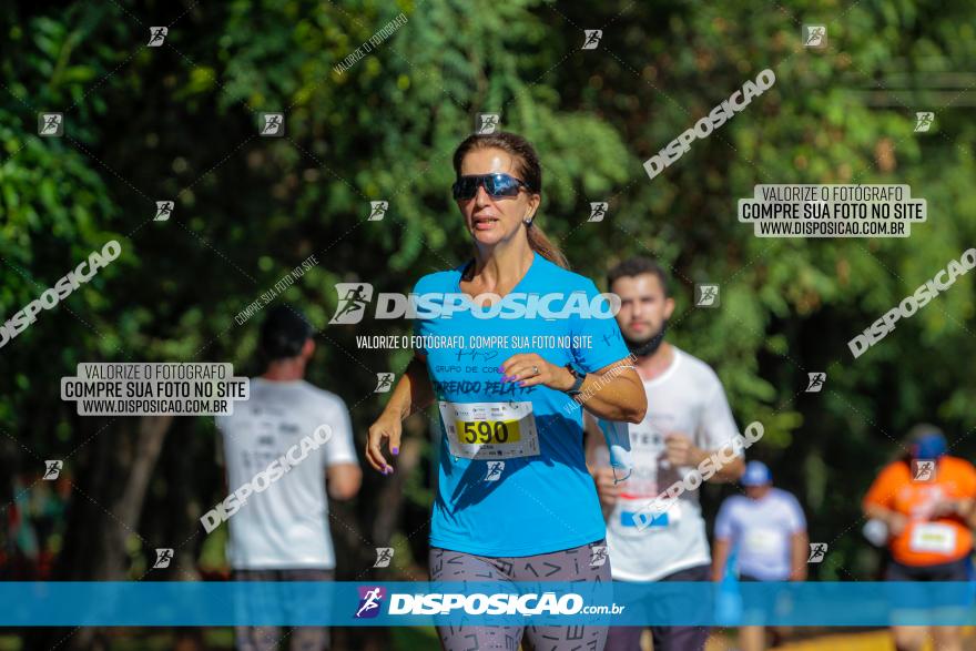 Corrida Cidade de Londrina 2021