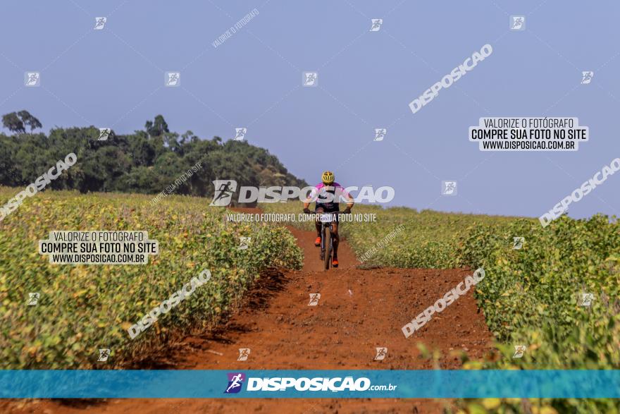 Circuito Decathlon Off-Road 2022 - Limoeiro - Bike