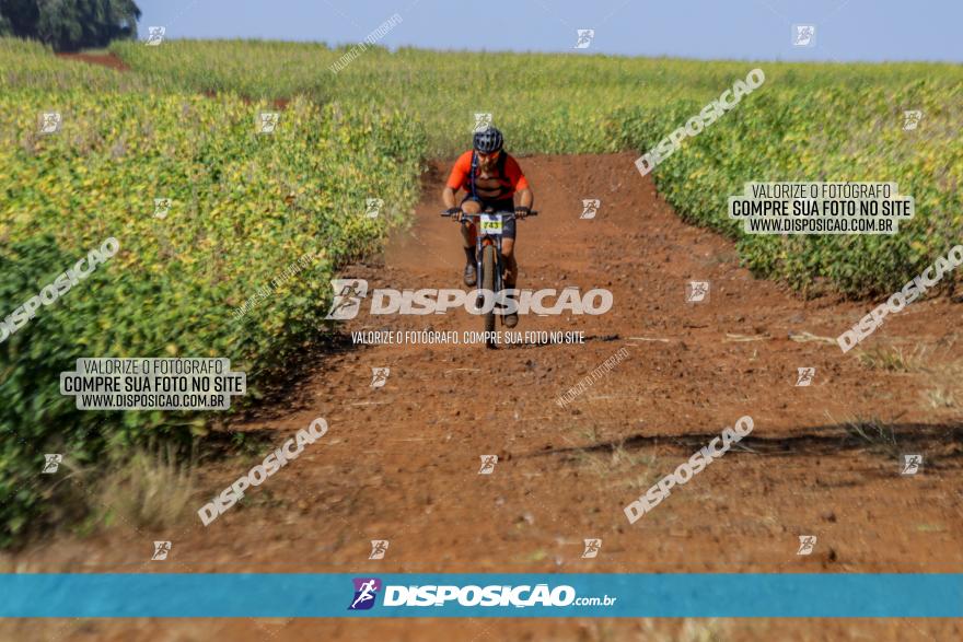 Circuito Decathlon Off-Road 2022 - Limoeiro - Bike