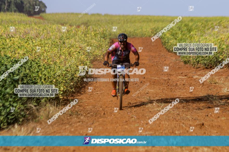 Circuito Decathlon Off-Road 2022 - Limoeiro - Bike