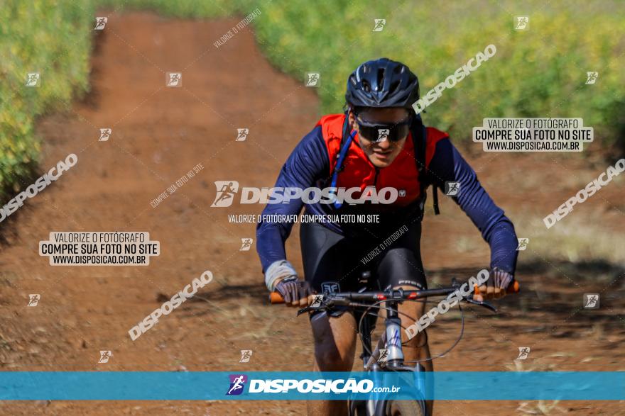 Circuito Decathlon Off-Road 2022 - Limoeiro - Bike