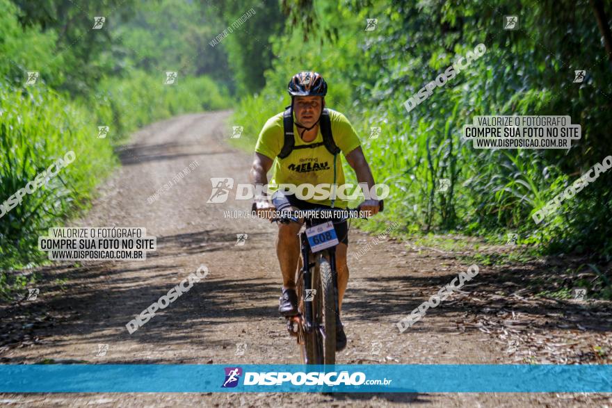 Circuito Decathlon Off-Road 2022 - Limoeiro - Bike