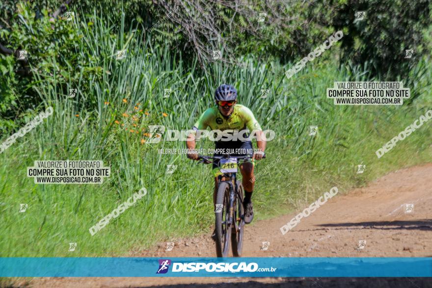 Circuito Decathlon Off-Road 2022 - Limoeiro - Bike