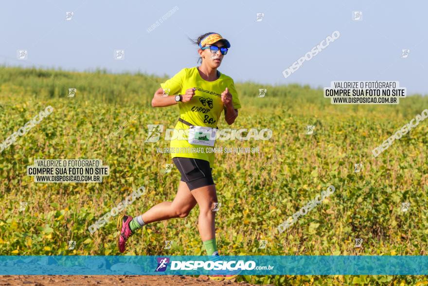 Circuito Decathlon Off-Road 2022 - Limoeiro - Corrida