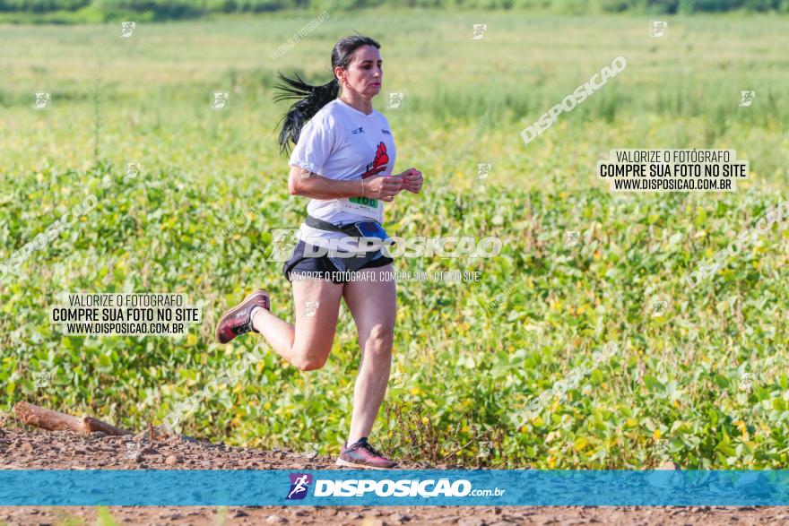 Circuito Decathlon Off-Road 2022 - Limoeiro - Corrida