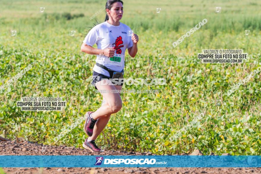 Circuito Decathlon Off-Road 2022 - Limoeiro - Corrida