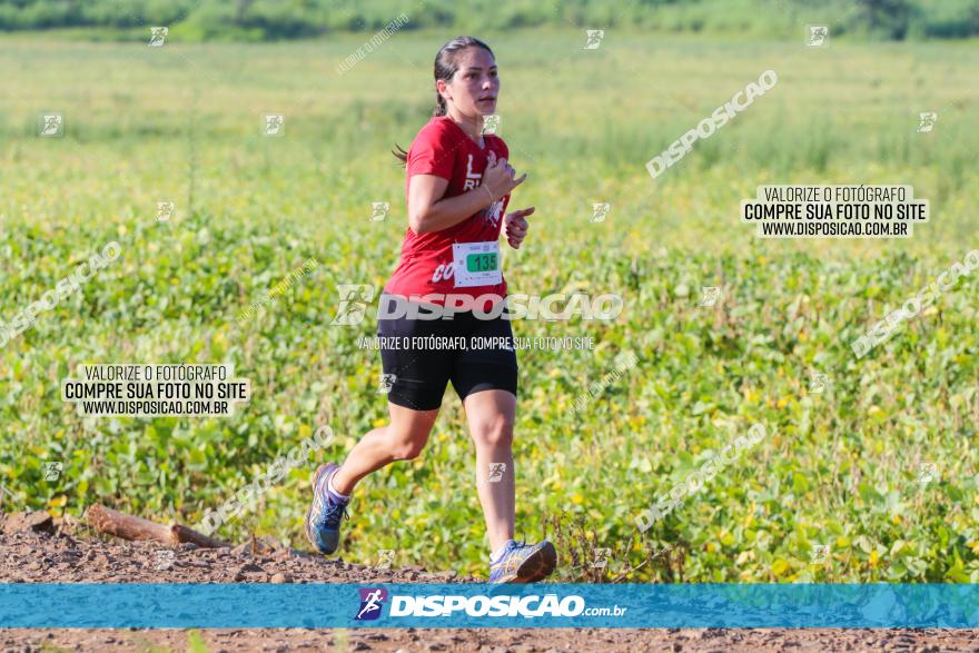 Circuito Decathlon Off-Road 2022 - Limoeiro - Corrida