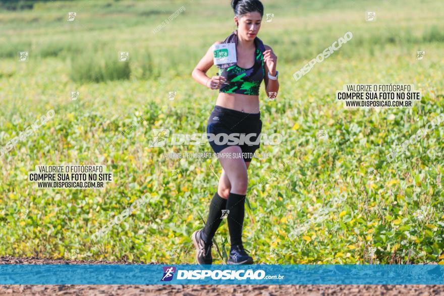 Circuito Decathlon Off-Road 2022 - Limoeiro - Corrida