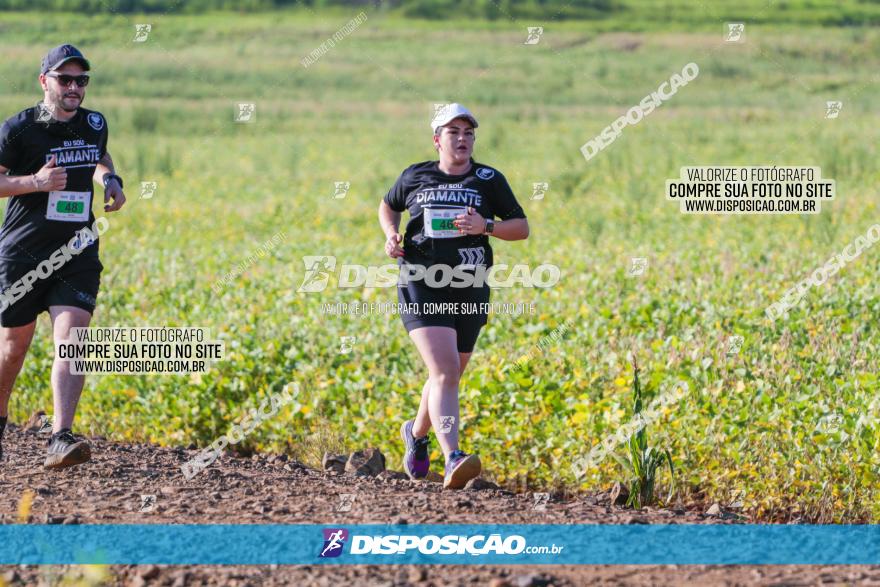 Circuito Decathlon Off-Road 2022 - Limoeiro - Corrida