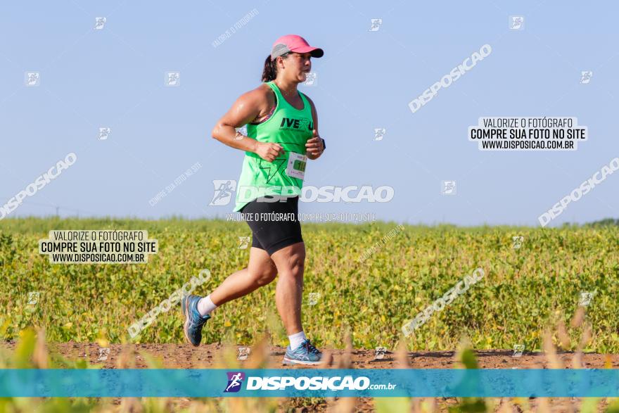 Circuito Decathlon Off-Road 2022 - Limoeiro - Corrida