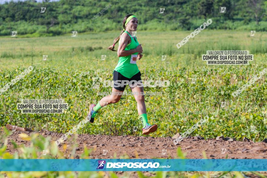 Circuito Decathlon Off-Road 2022 - Limoeiro - Corrida