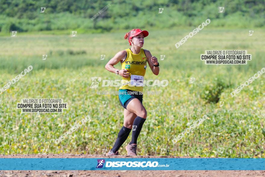 Circuito Decathlon Off-Road 2022 - Limoeiro - Corrida