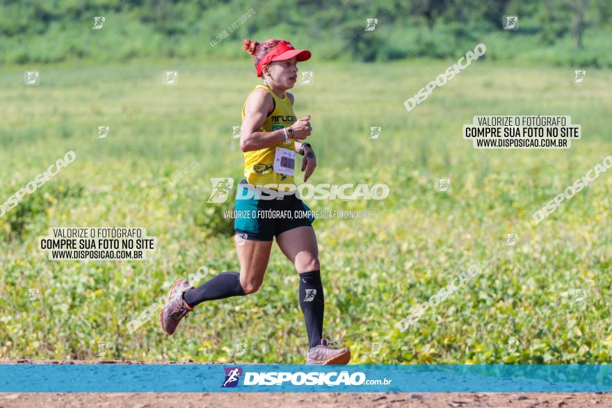 Circuito Decathlon Off-Road 2022 - Limoeiro - Corrida