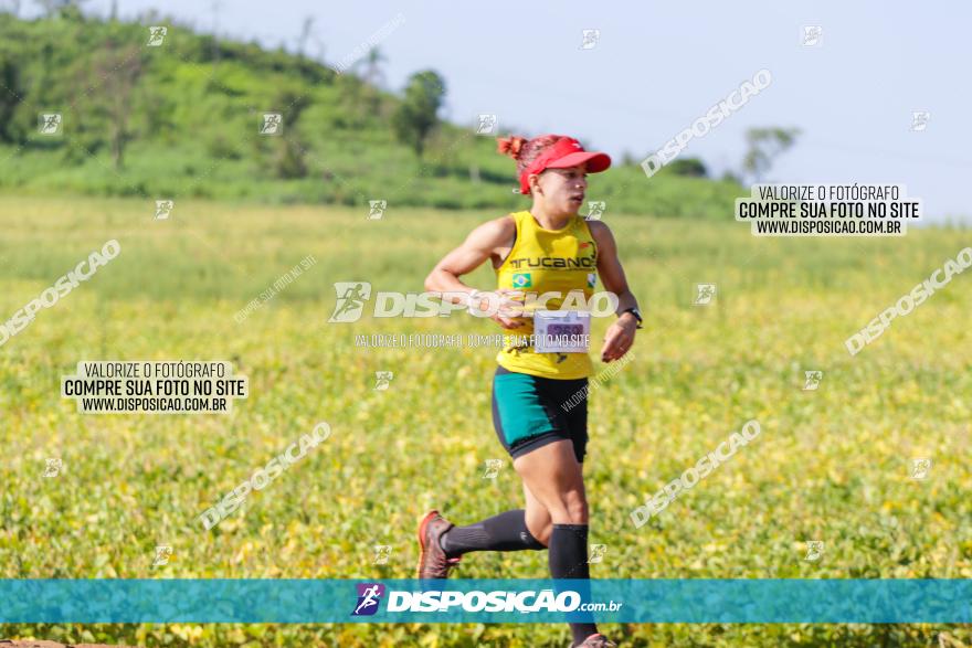 Circuito Decathlon Off-Road 2022 - Limoeiro - Corrida