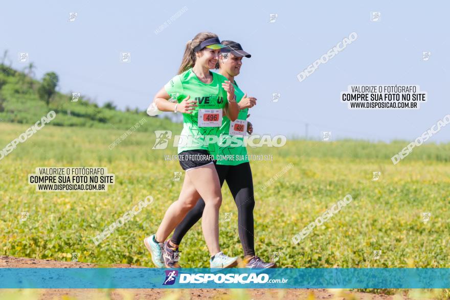 Circuito Decathlon Off-Road 2022 - Limoeiro - Corrida