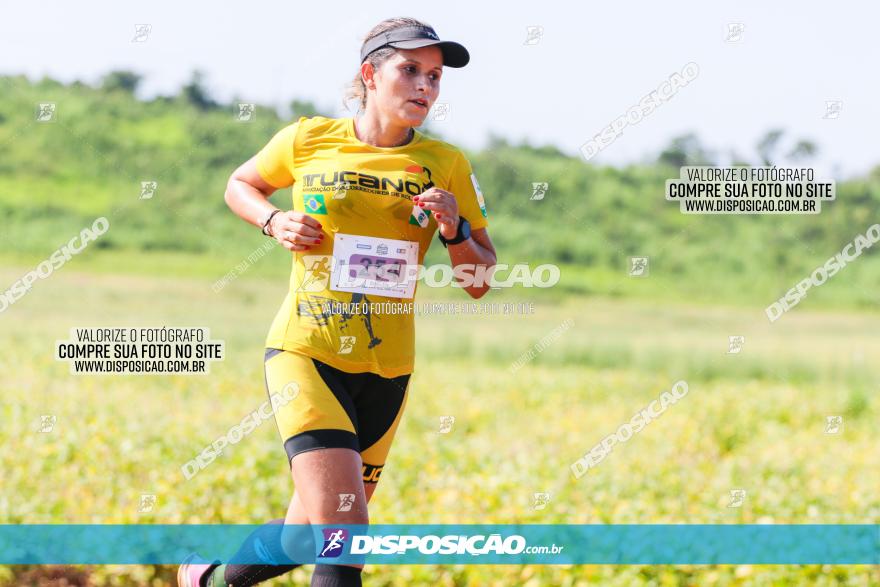 Circuito Decathlon Off-Road 2022 - Limoeiro - Corrida