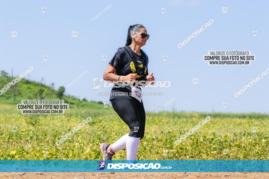 Circuito Decathlon Off-Road 2022 - Limoeiro - Corrida