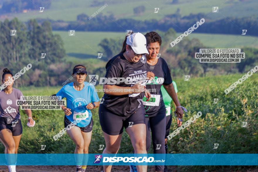 Circuito Decathlon Off-Road 2022 - Limoeiro - Corrida