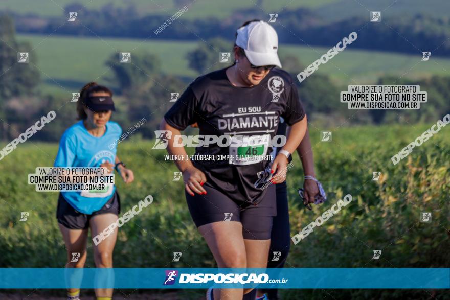 Circuito Decathlon Off-Road 2022 - Limoeiro - Corrida