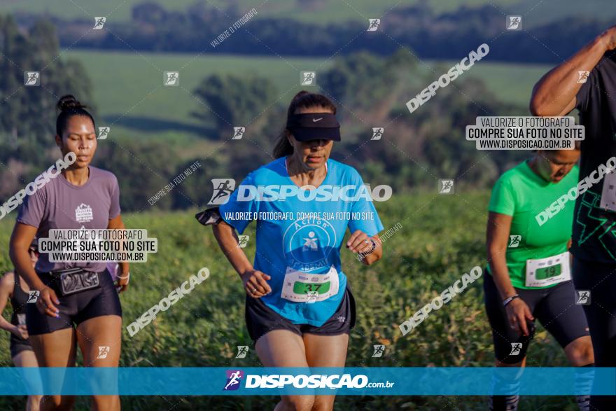 Circuito Decathlon Off-Road 2022 - Limoeiro - Corrida