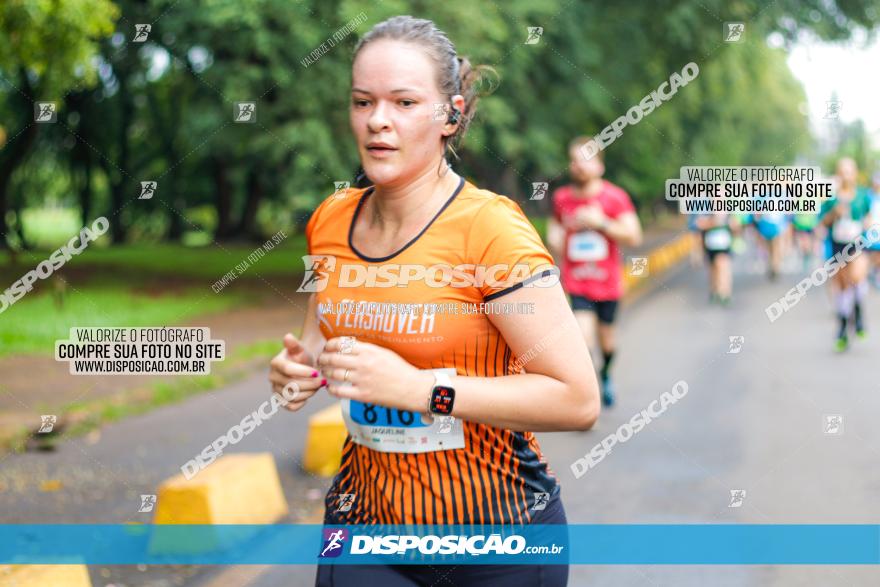 Decathlon Run Londrina