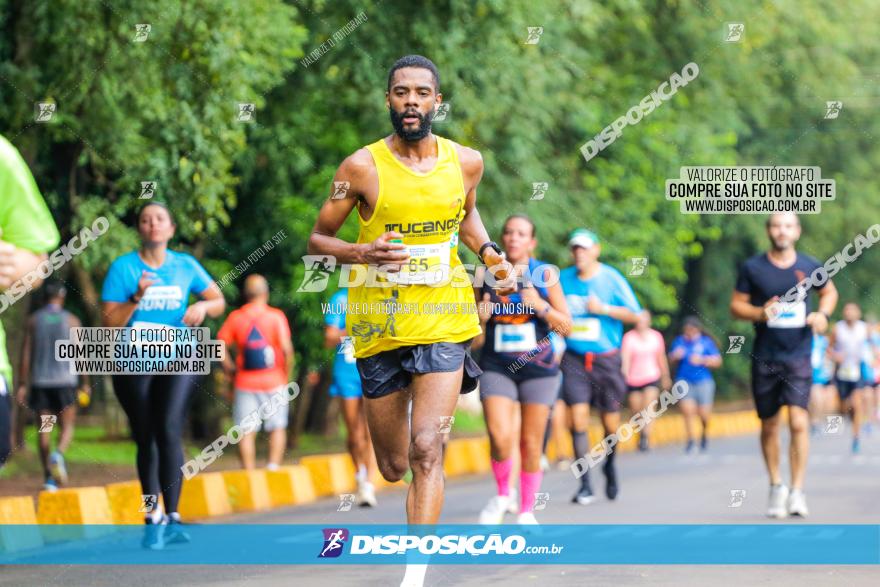 Decathlon Run Londrina