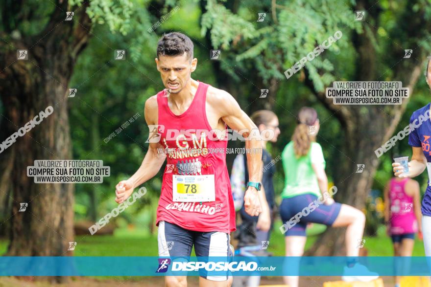 Decathlon Run Londrina