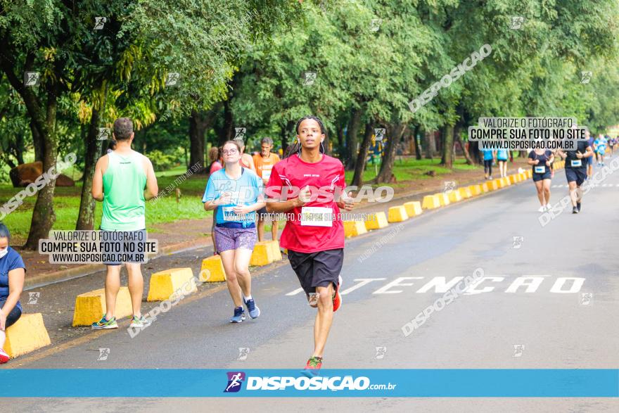 Decathlon Run Londrina