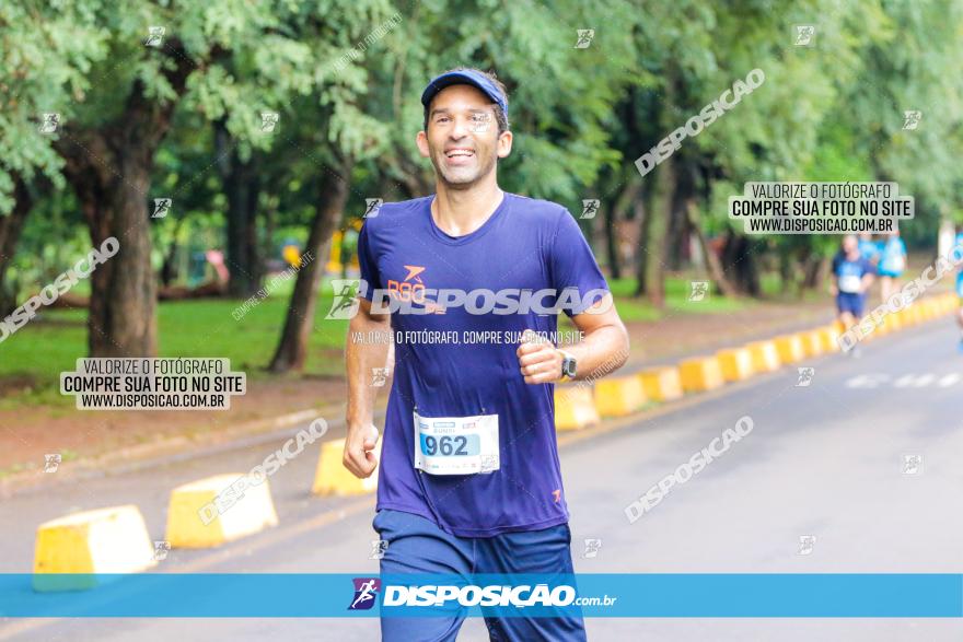 Decathlon Run Londrina