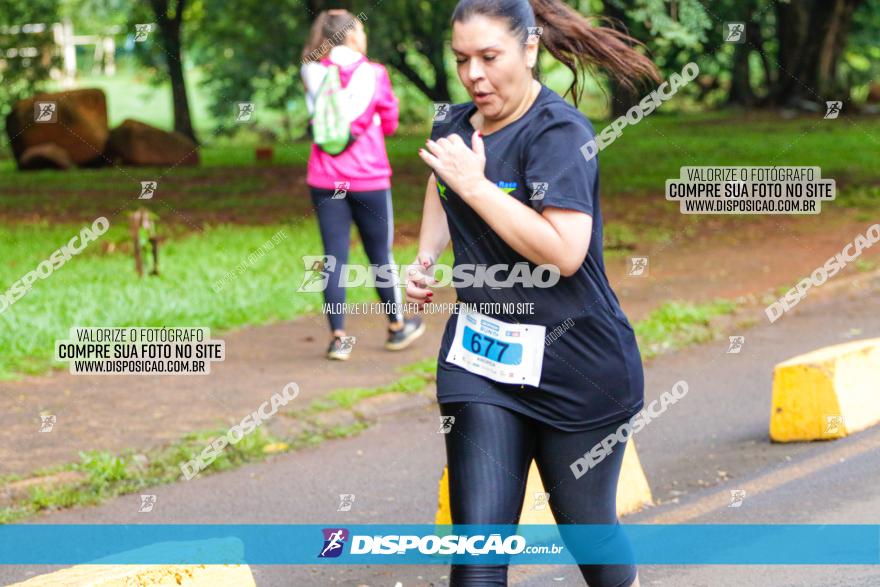 Decathlon Run Londrina