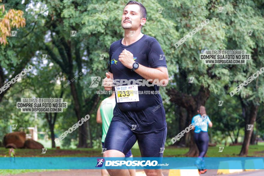 Decathlon Run Londrina