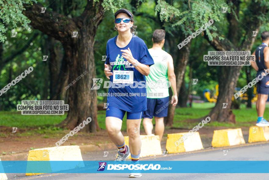 Decathlon Run Londrina