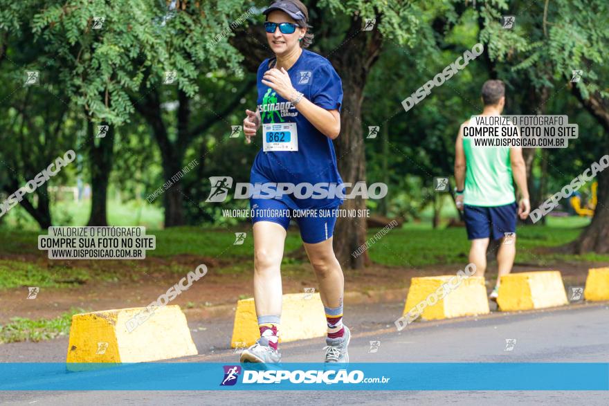 Decathlon Run Londrina