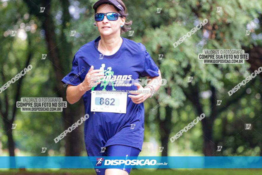 Decathlon Run Londrina