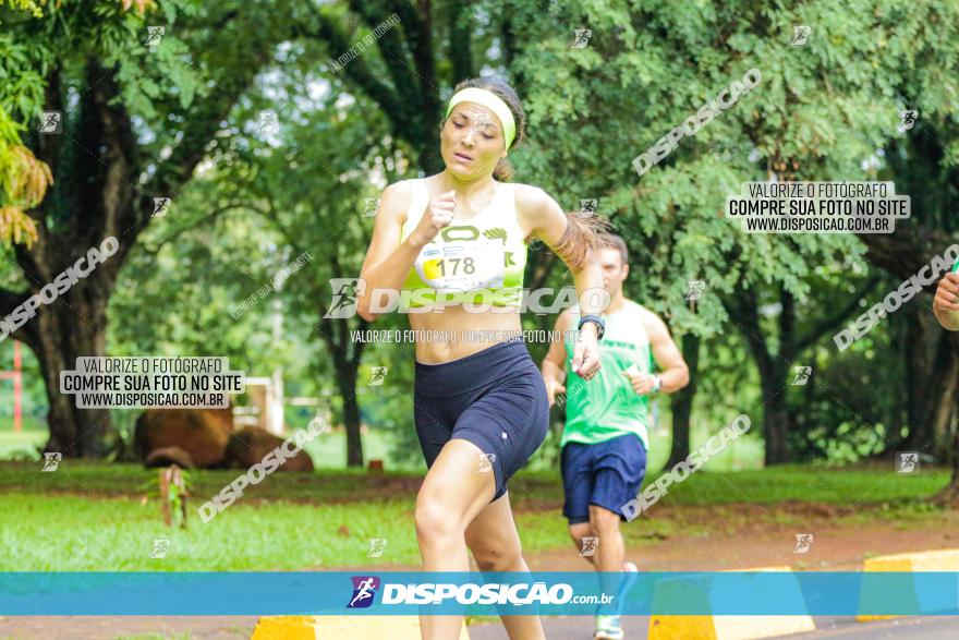 Decathlon Run Londrina