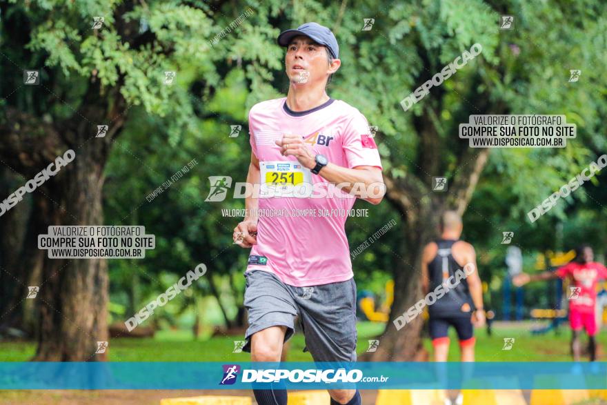 Decathlon Run Londrina