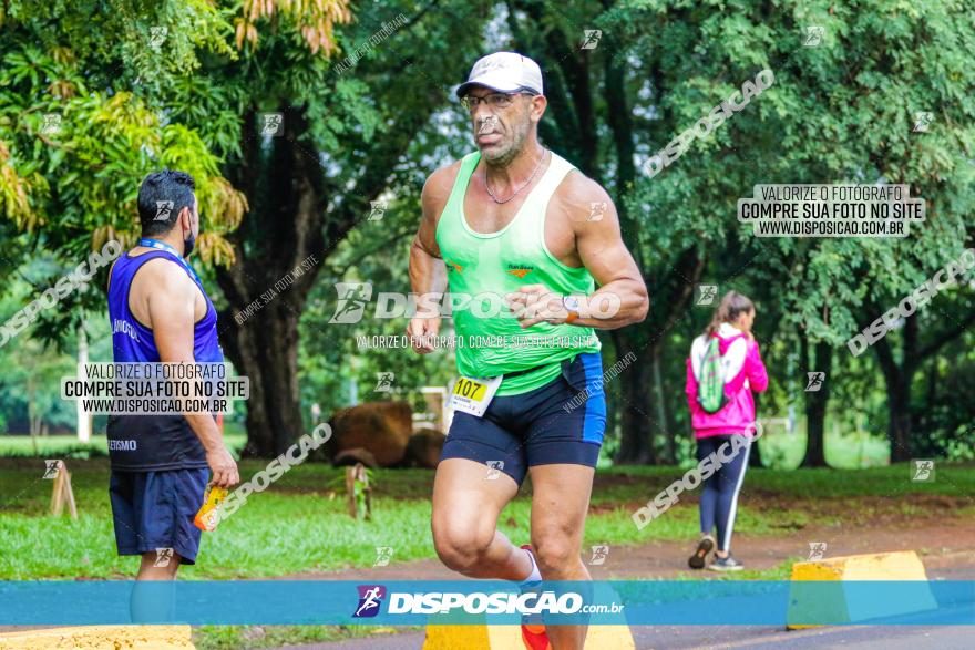 Decathlon Run Londrina