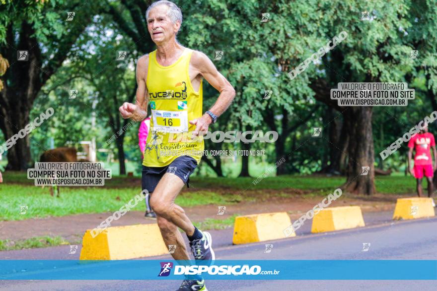 Decathlon Run Londrina