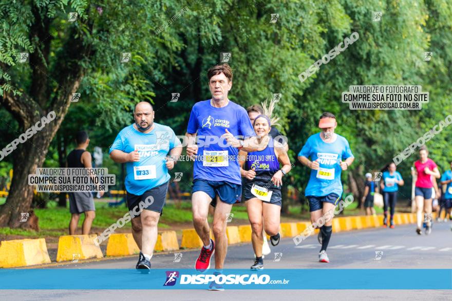 Decathlon Run Londrina