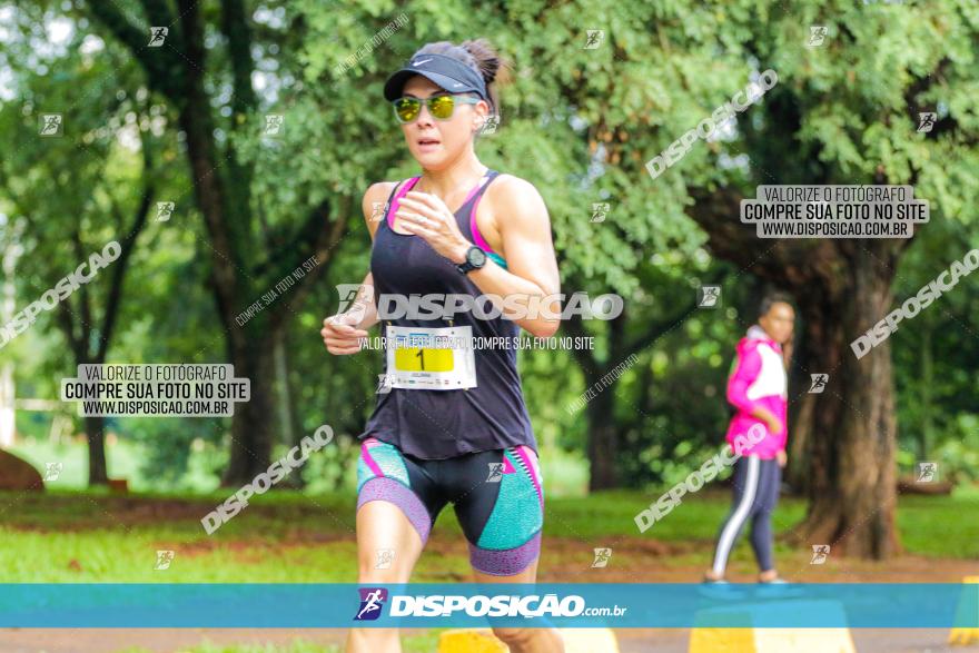 Decathlon Run Londrina