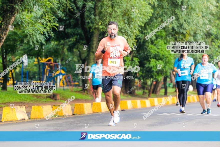 Decathlon Run Londrina