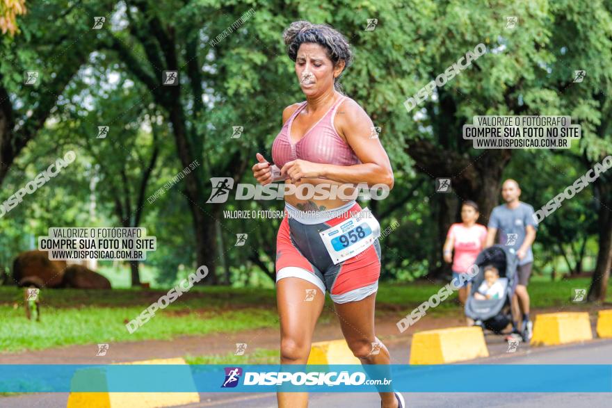 Decathlon Run Londrina