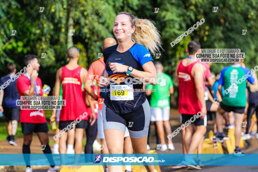 Decathlon Run Londrina