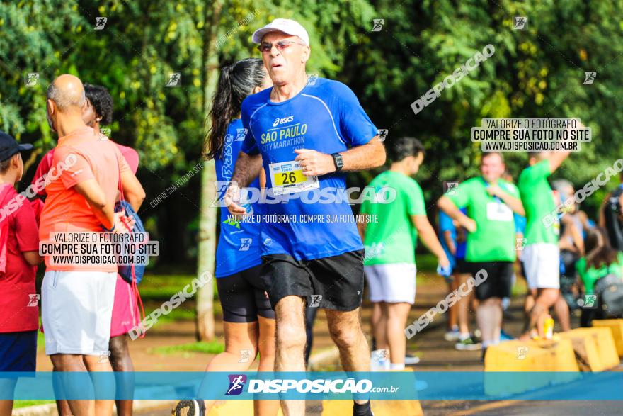 Decathlon Run Londrina